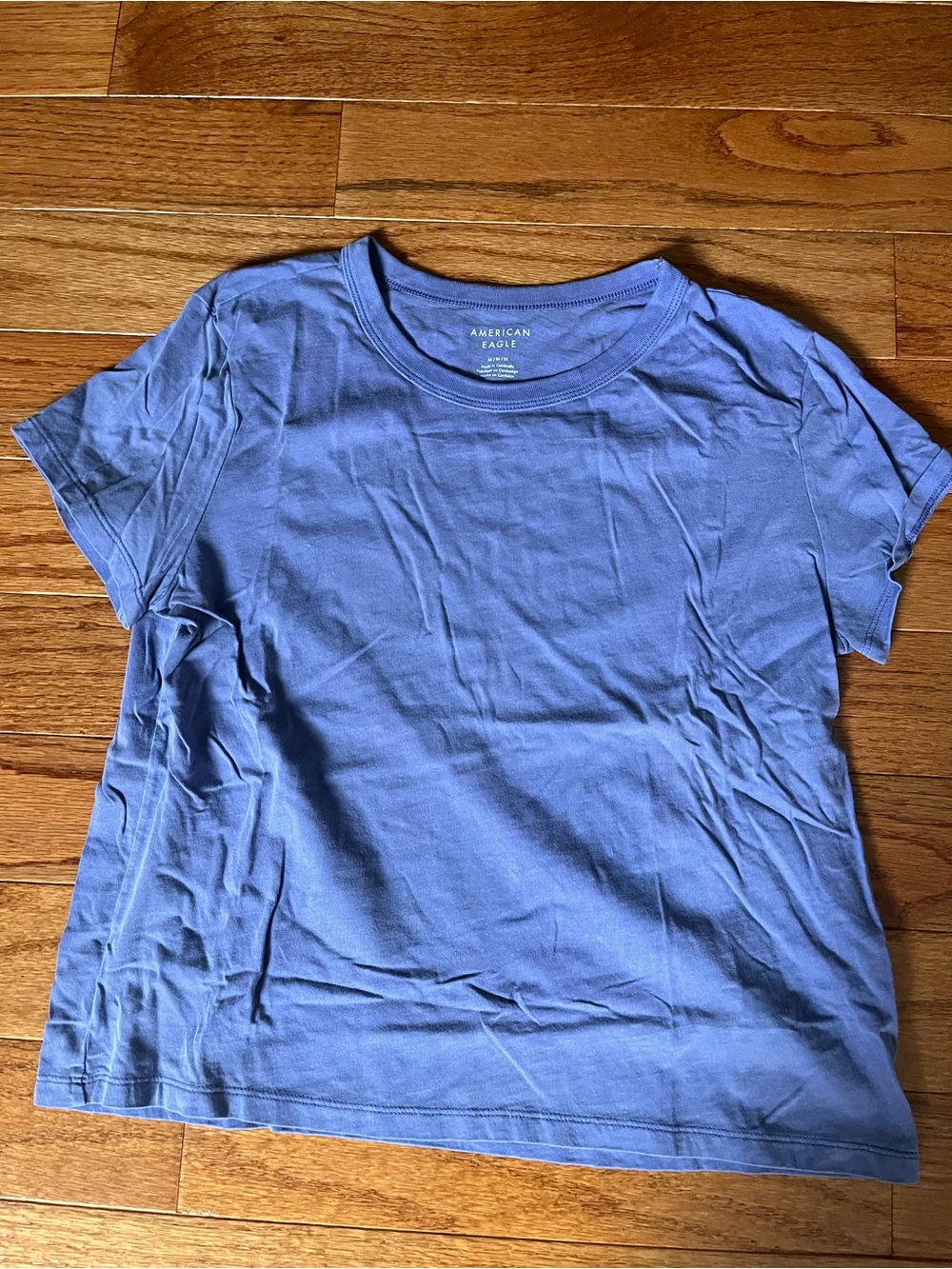 American Eagle Outfitters Blue Short Sleeve Crewneck Tee New/Never worn Size M